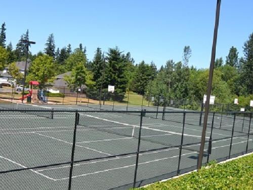 Lower level fireplace